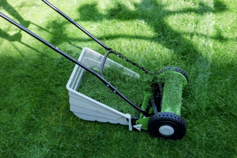 how to use grass cuttings in the garden