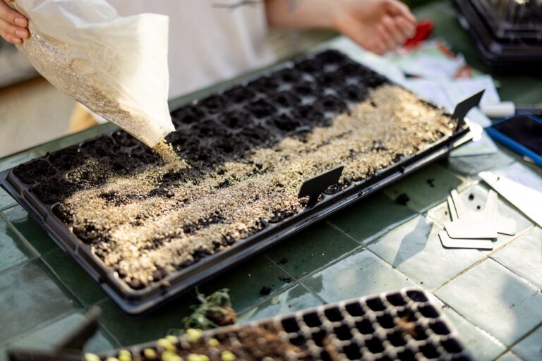 Covering soil with vermiculite