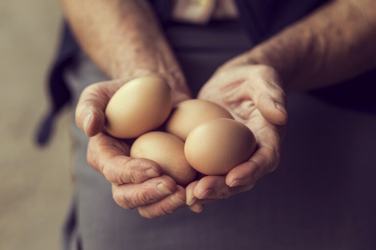 water glassing eggs