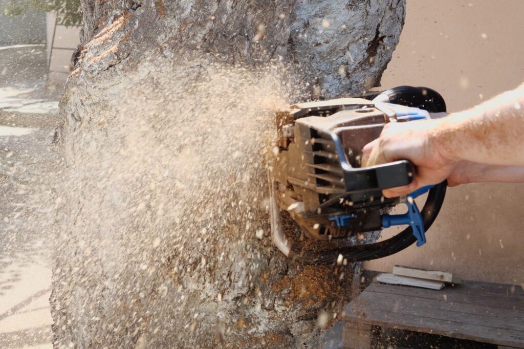 worker cuts a tree trunk into logs with a saw